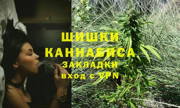 шишки Богородицк