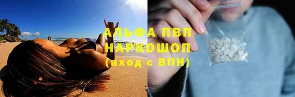 шишки Богородицк