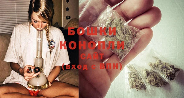 шишки Богородицк