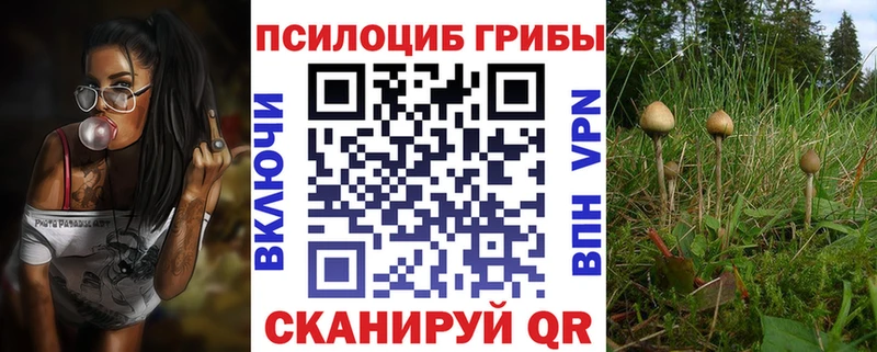 Купить закладки  Питкяранта  Псилоцибиновые грибы Magic Shrooms 